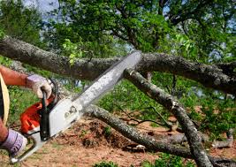 Best Soil Testing and Treatment  in Spring Mount, PA